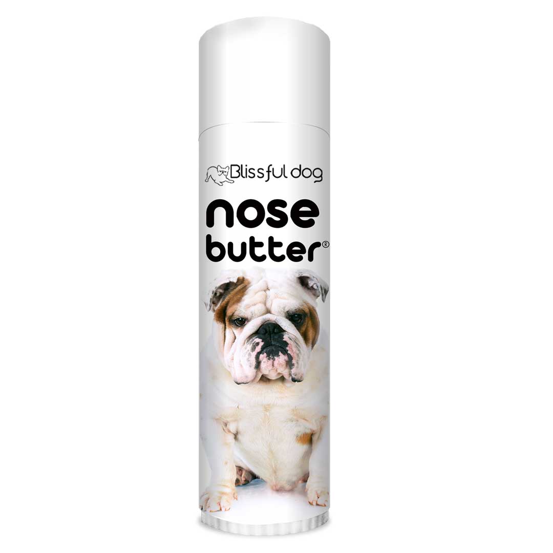 is a bulldogs nose supposed to be dry