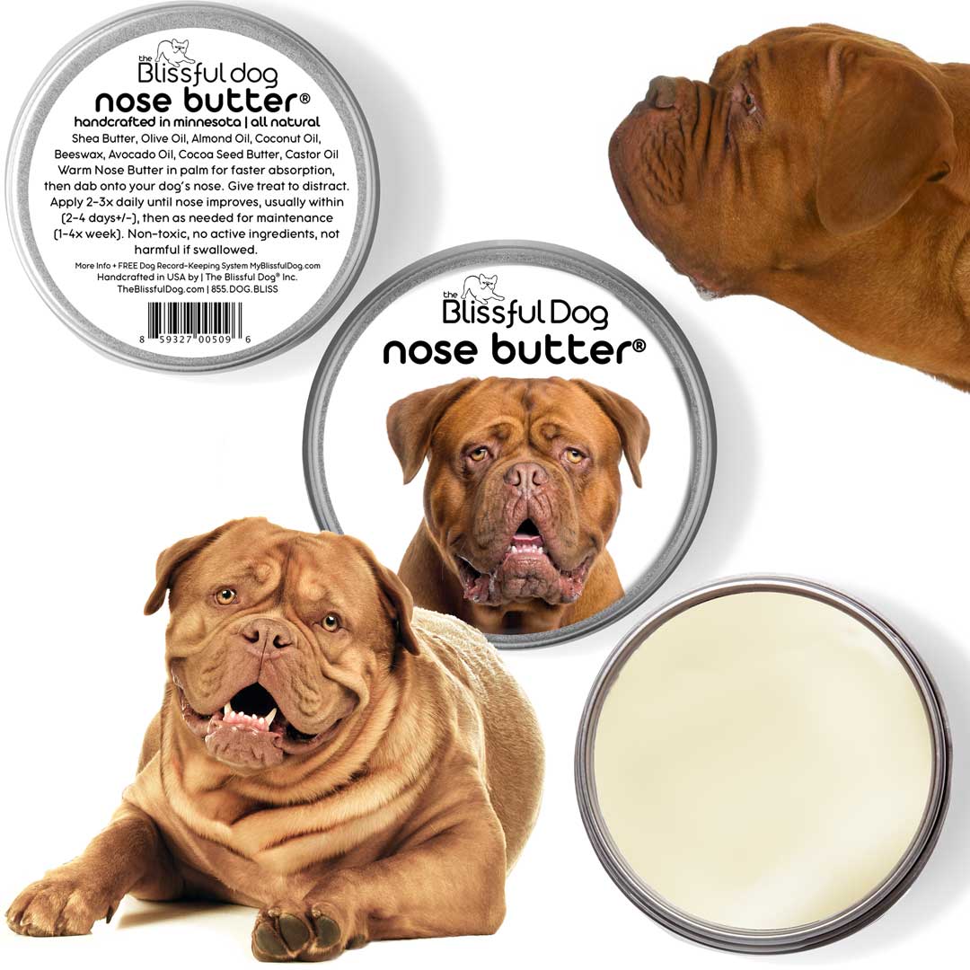 what to feed french mastiff puppy