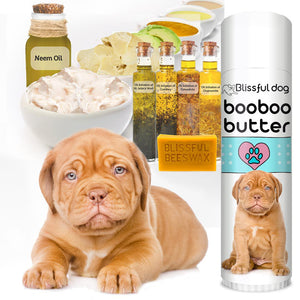 Boo Boo Butter All Natural Herbal Dogue De Bordeaux Skin Care Balm