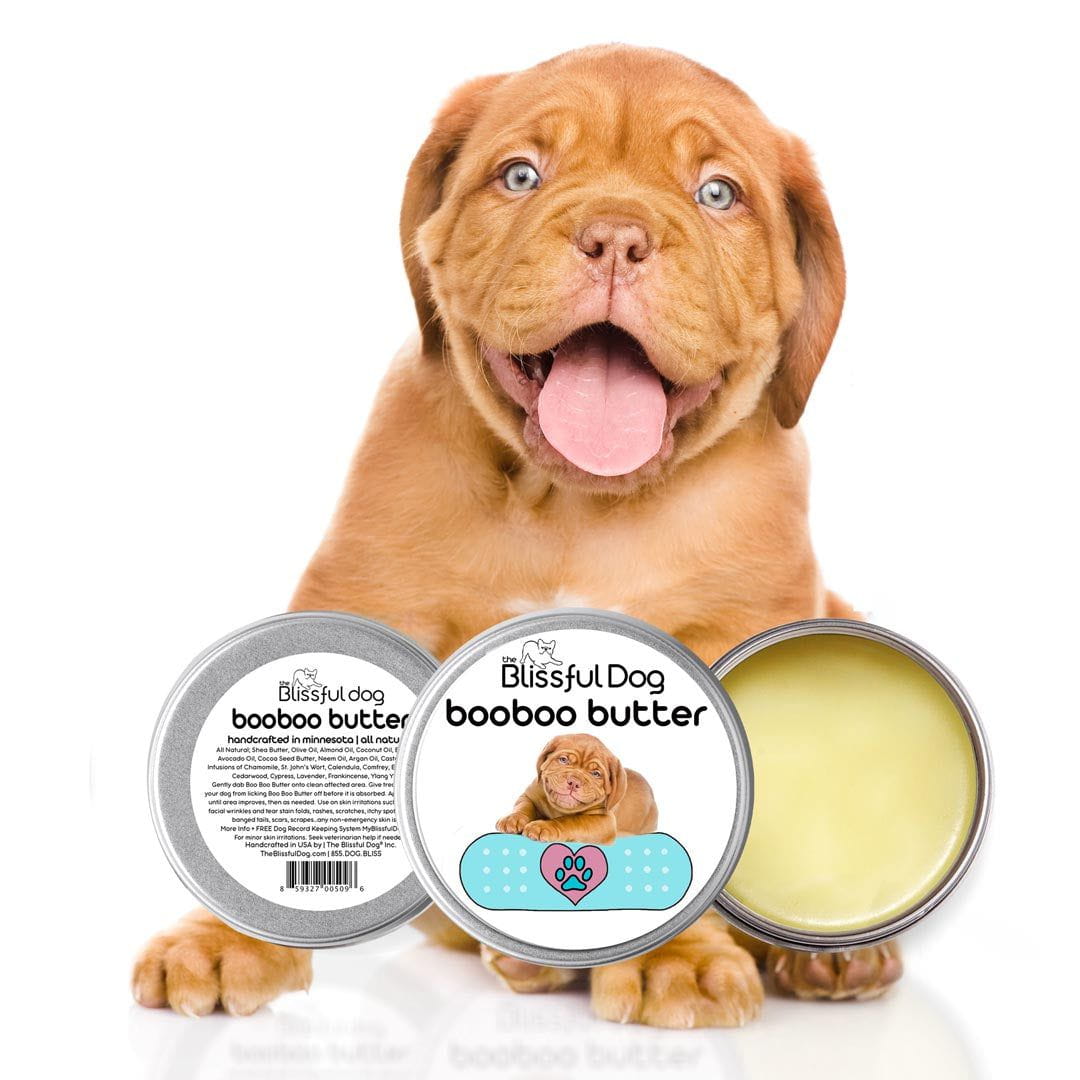 Boo Boo Butter All Natural Herbal Dogue De Bordeaux Skin Care Balm