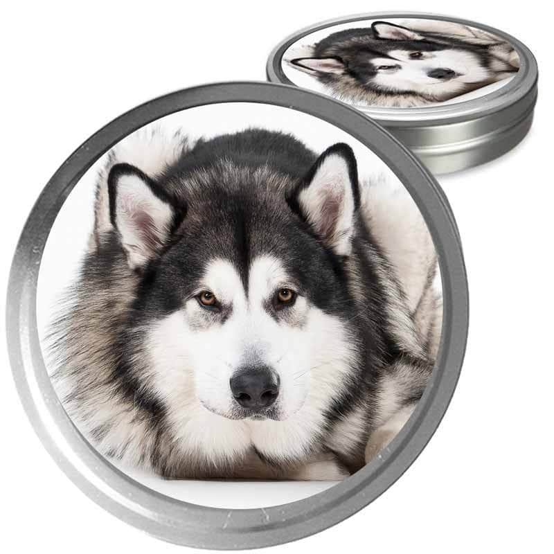 can you have an alaskan malamute in warm weather