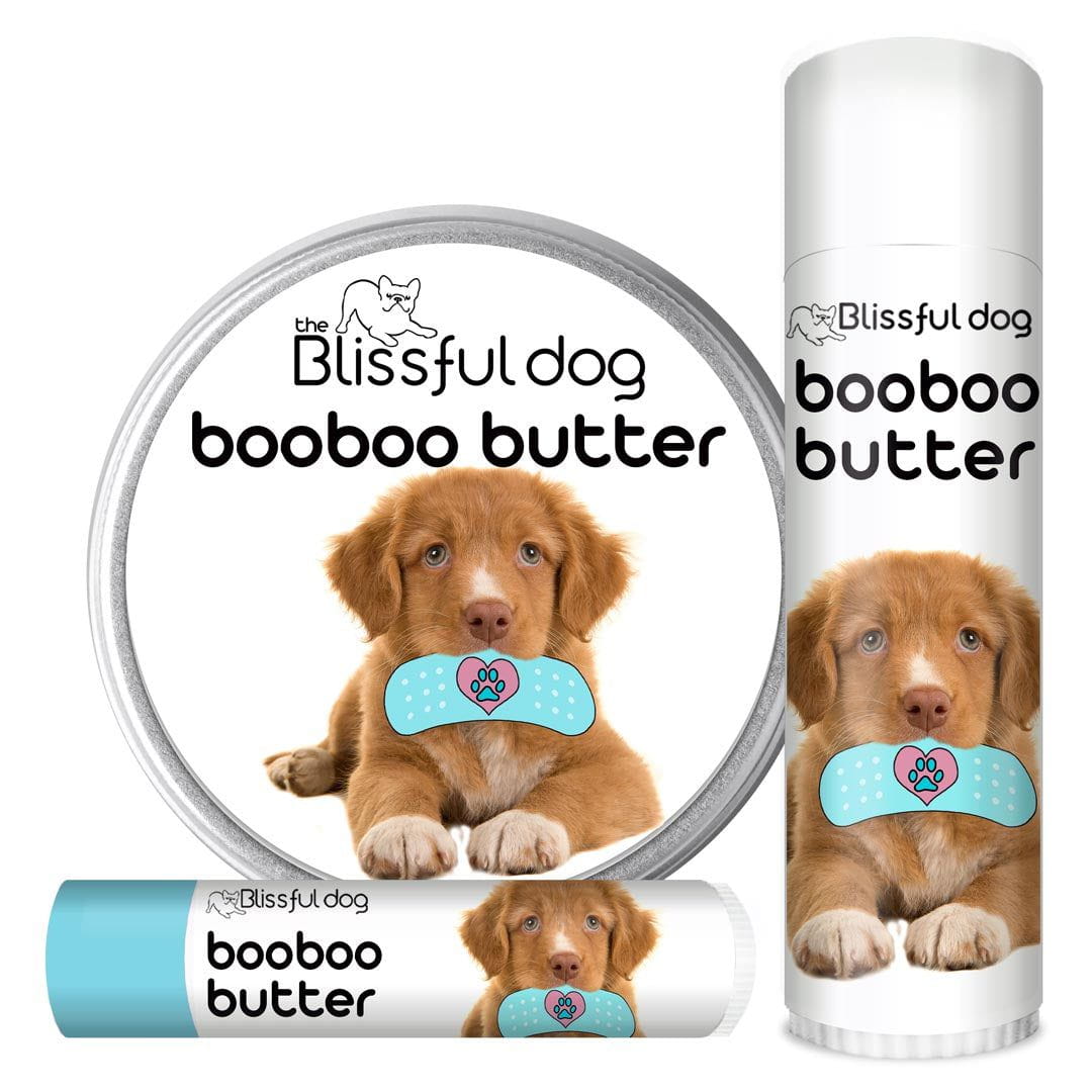 can i shave the nova scotia duck tolling retriever