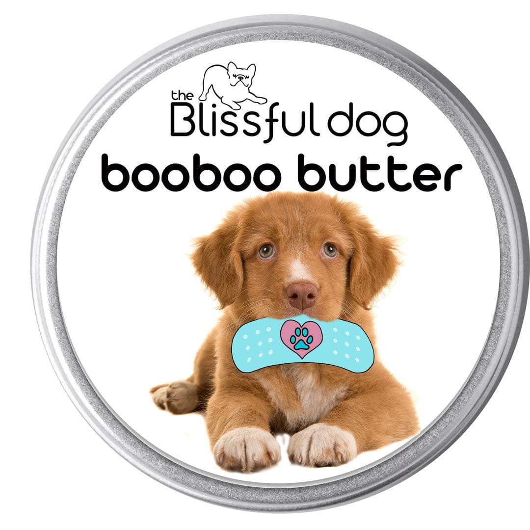 can i shave the nova scotia duck tolling retriever