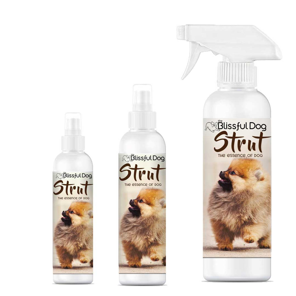 Dog Cologne Spray | Dog Grooming Perfume Spray - The Blissful Dog