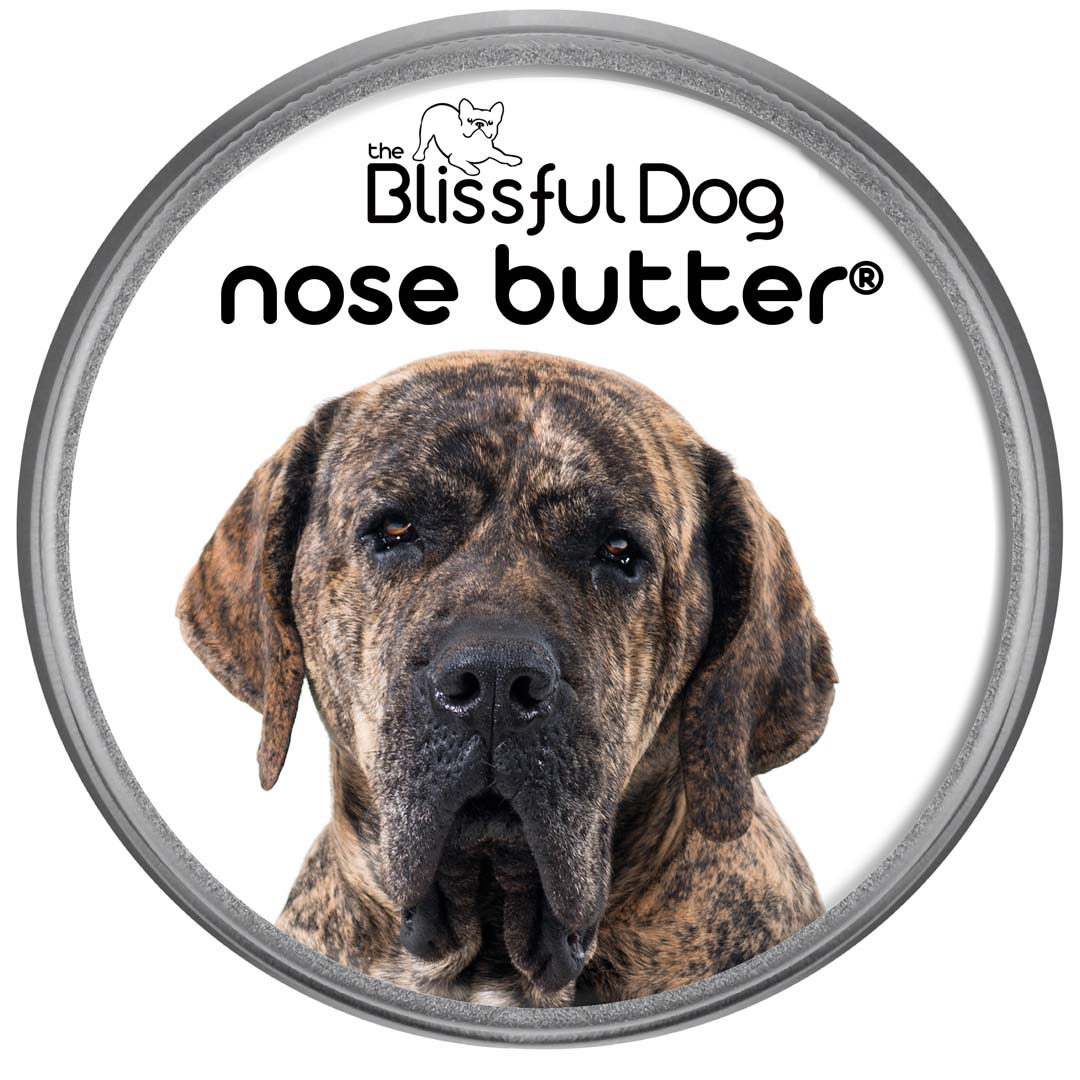 Brandweerman Indringing Relatieve grootte Fila Brasileiro Nose Butter® Soothes Your Brazilian Mastiff's Nose