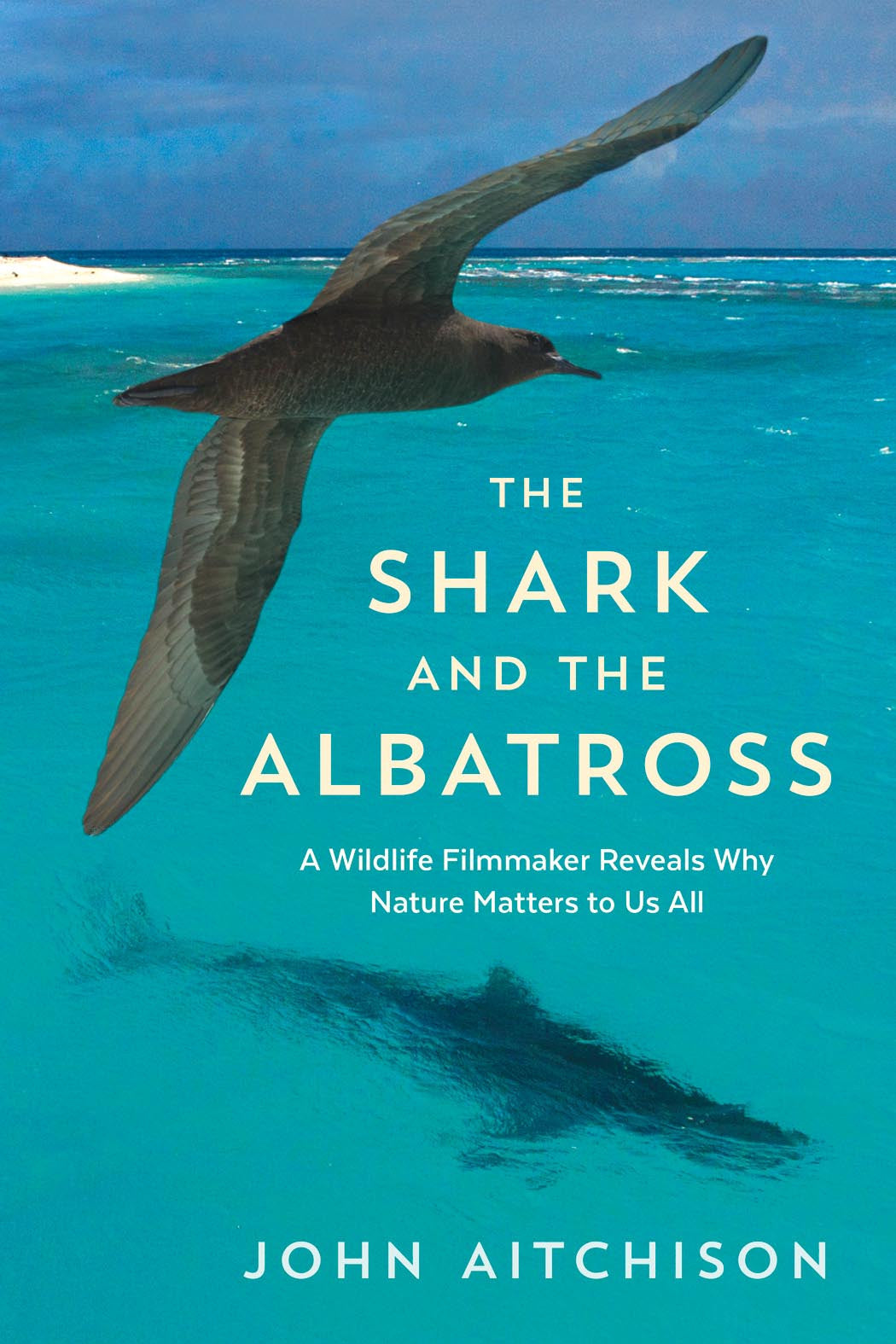The Shark And The Albatross Greystone Books Ltd