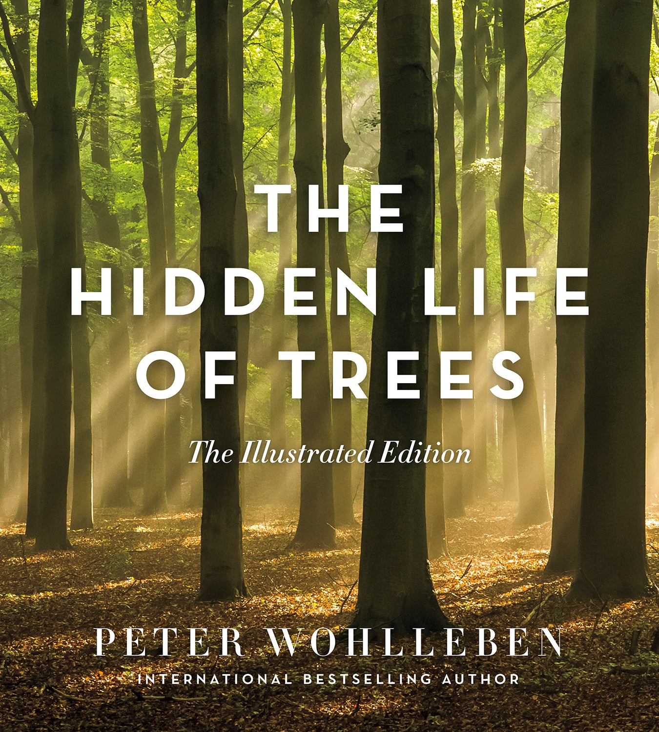 the hidden life of trees