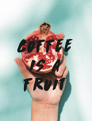 VERVECOFFEEのコンセプト「Coffee is a fruit」