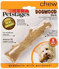 dogwood stick safe