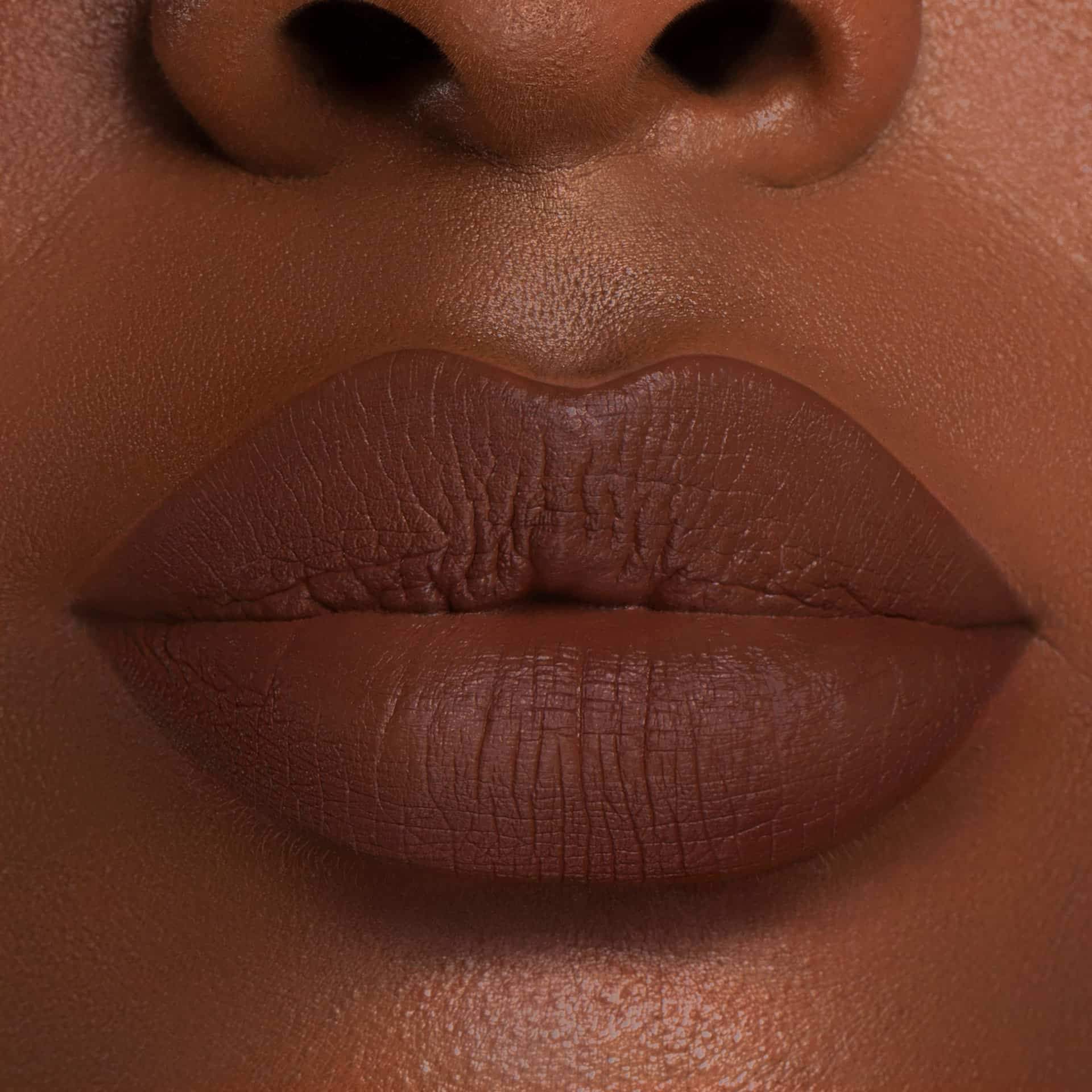 CHOCOLATE WASTED- Dark Brown Liquid Matte Lipstick - Dose of Colors