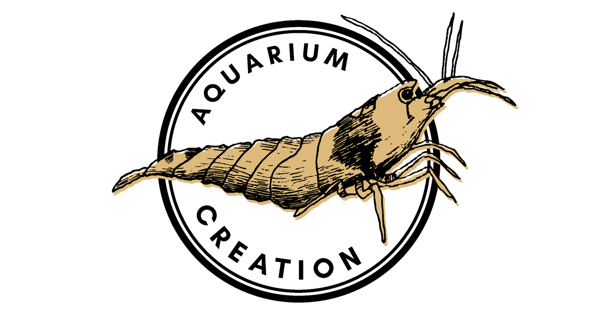 www.aquariumcreation.com