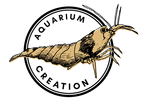 Neocaridina Chart