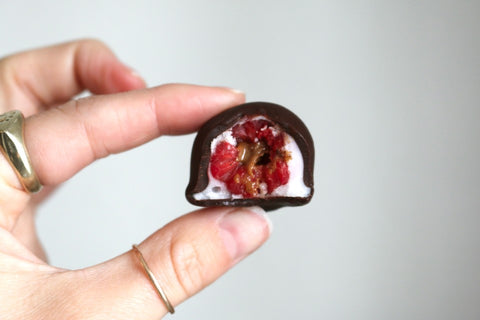 Bitten raspberry covered in yogurt and a chocolate shell being held between two fingers