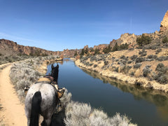 Horse next to a river by smith rock park