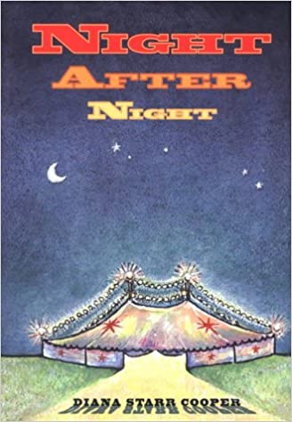 day after night book summary