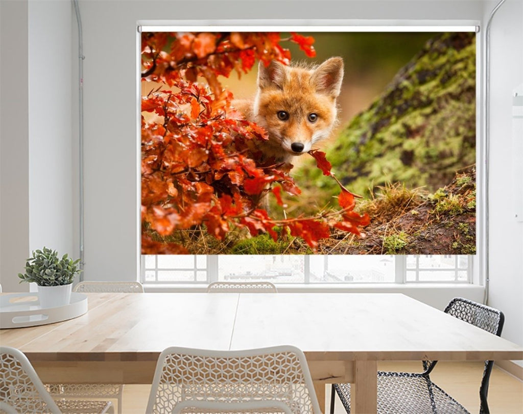 Red Fox Animal roller Blind | Photo Printed Picture Blinds | Art Fever