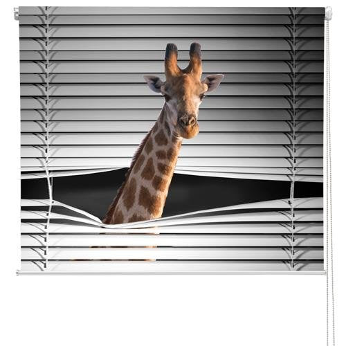 animal print window blinds