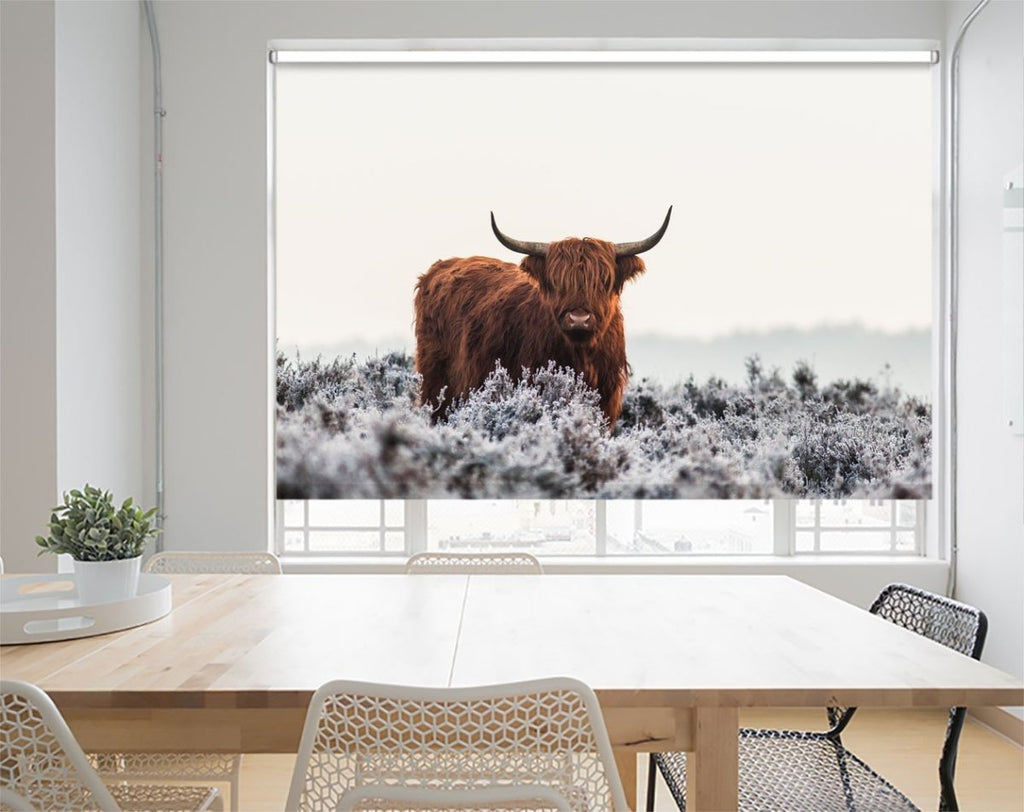 The Highland Cow roller Blind | Photo Printed Window Blinds | Art Fever