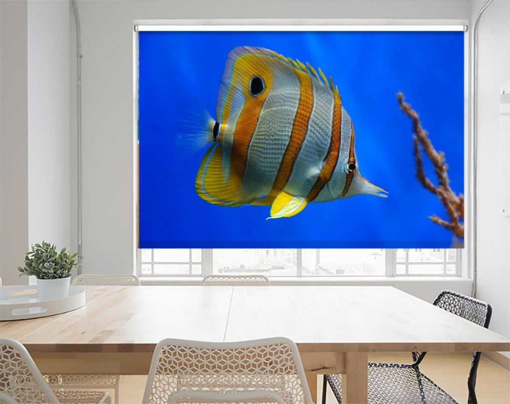 Tropical Butterflyfish Sealife Fish roller Blind | Photo Printed Window