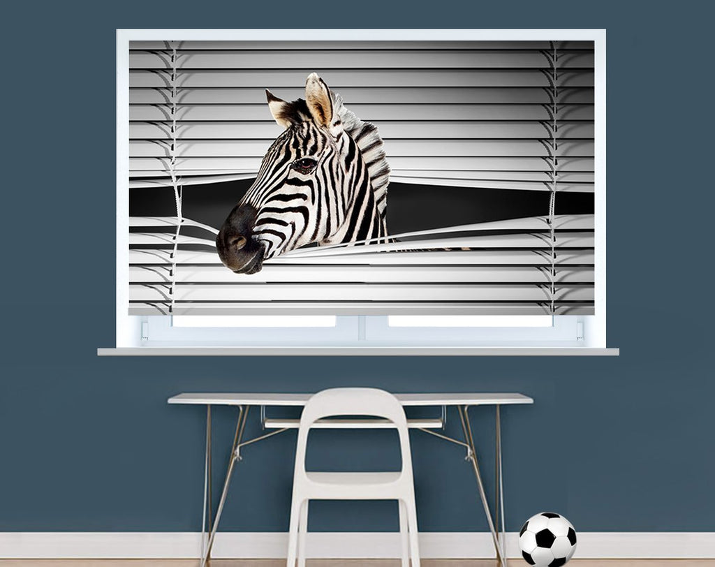 zebra blinds delray beach