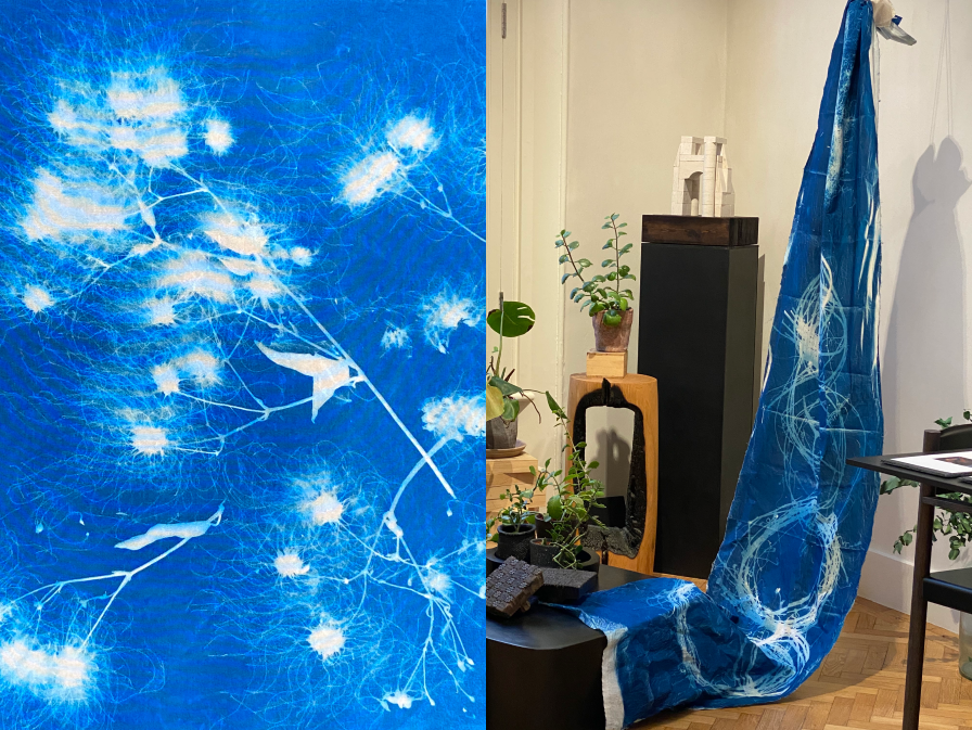 left: close of cyanotype of a plant with puffs on stalks, perhaps like cotton; right: cyanotype printed fabric draped in an art studio or boutique