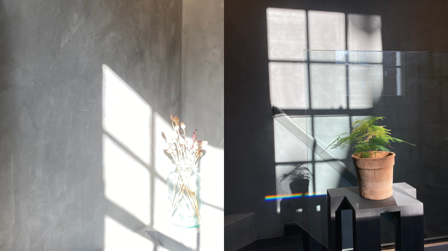 left: light hitting a plane wall through the panes of a window; right a small plant on a black stool with the light from a window hitting it and the wall beyond