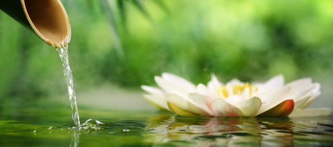 Flower floating in water