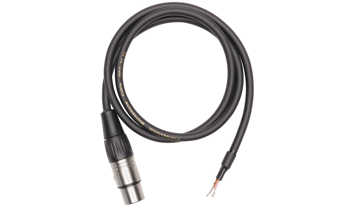 XLR Audio Cable length options: 6, 25, 50 and 100 feet — AV Now Fitness  Sound