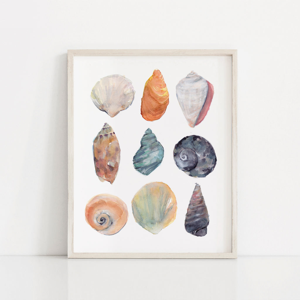 conch shell paintings