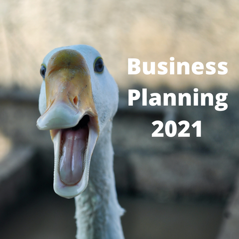 Funny face on a duck to illustrate the difficulties of business planning during a pandemic