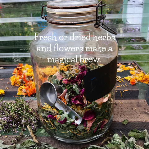 Learn how to create your own magical tea brew with herbs and flowers.