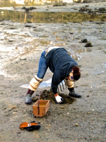 Clam digging in Maine.