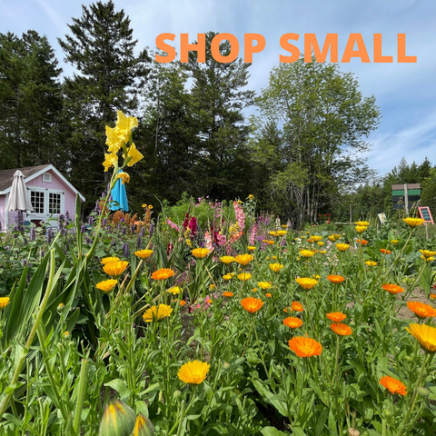  Garden and small shop to encourage people to shop small and local
