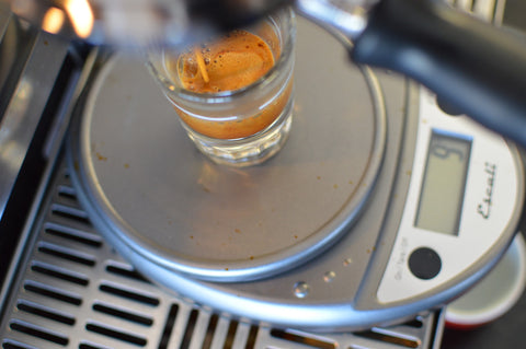 tasting espresso