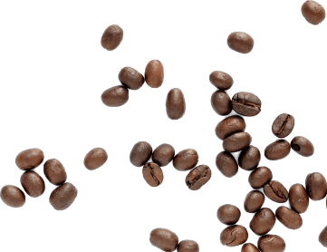 Scattered Bean Image