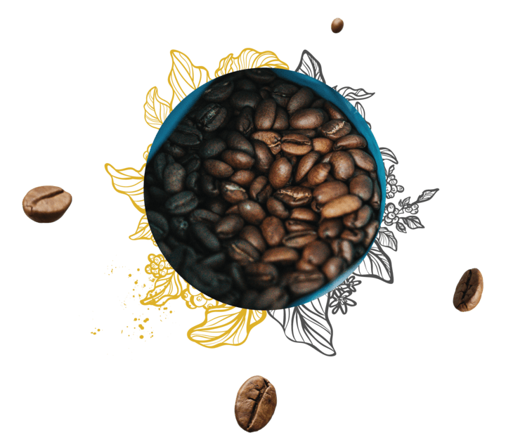 Tailored coffee solutions for you