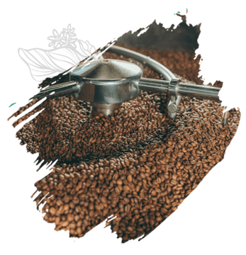 Coffee Grinders For French Press - JavaPresse Coffee Company