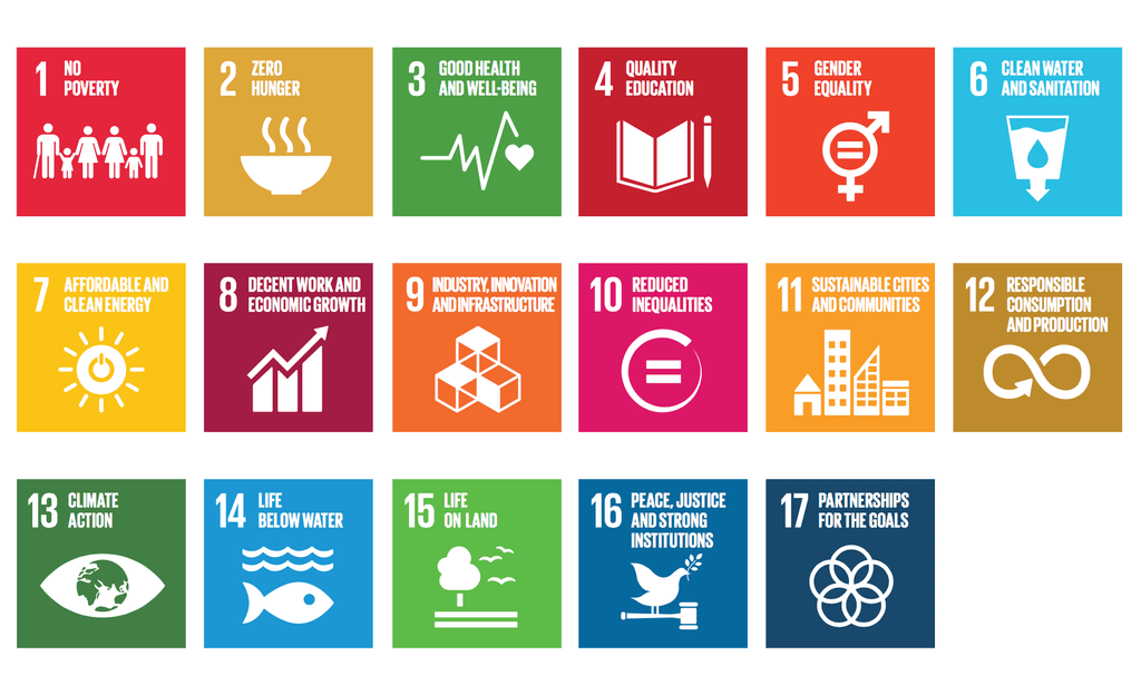 UN SDGs