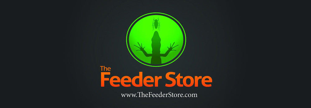 Dubia Roaches For Sale At The Feeder Store