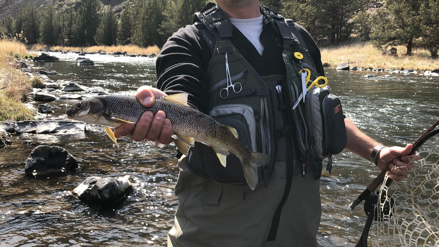 Crooked River Report 5/21/21 – Fly and Field Outfitters