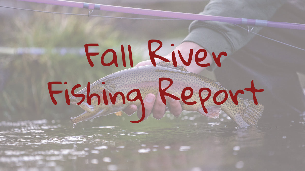 Fall River Update – Fly and Field Outfitters - Online Flyfishing Shop Fall River Update – Fly and Field Outfitters - Online Flyfishing Shop