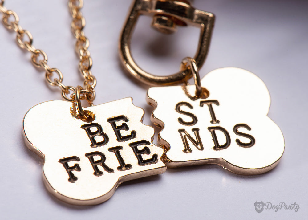 dog and owner best friend necklace