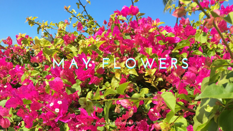 Image result for May with beautiful flowers