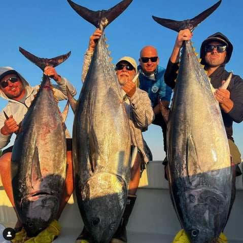 Yellowfin Tuna Fishing: The Thrill of the Chase