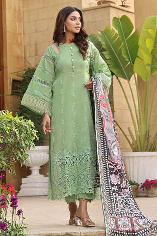 2024 formal lawn collection