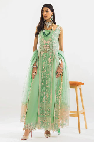 ladies luxury chiffon collection