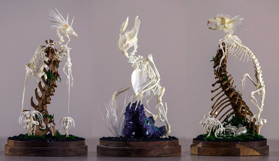 A selection of Gerard Geer's bone sculptures for Chimaephera