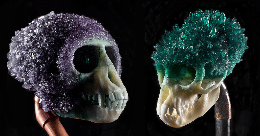 Gerard Geer crystallised skulls