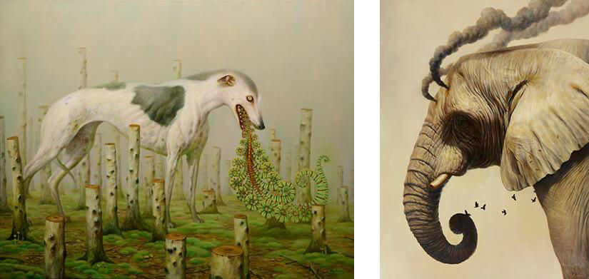 Interview with Martin Wittfooth