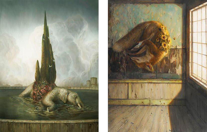 Interview with Martin Wittfooth